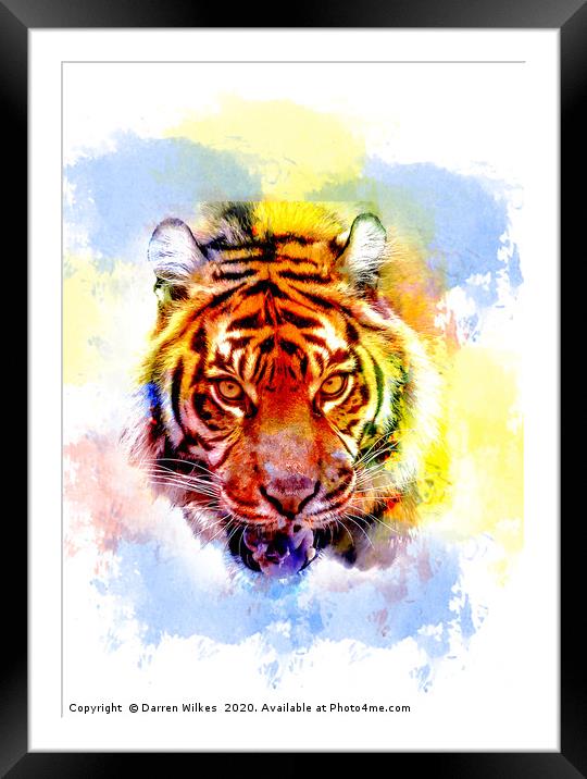 Colourful Tiger Print  Framed Mounted Print by Darren Wilkes