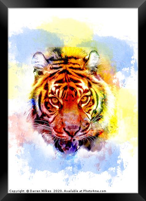 Colourful Tiger Print  Framed Print by Darren Wilkes