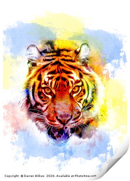 Colourful Tiger Print  Print by Darren Wilkes