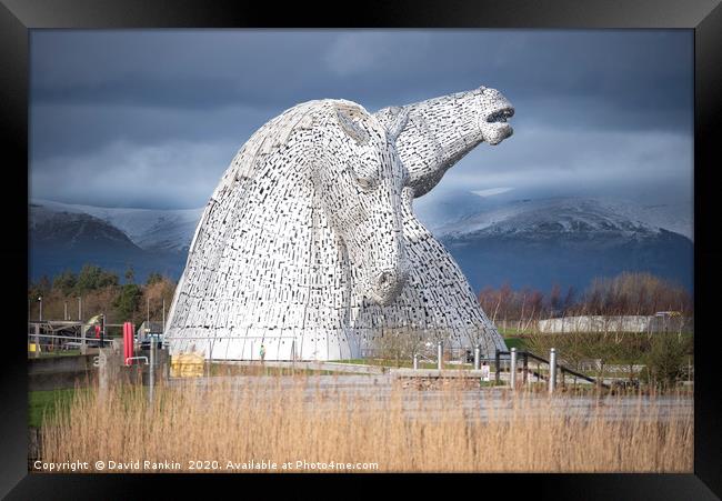 the Kelpies, the Helix, Falkirk, Scotland  Framed Print by Photogold Prints