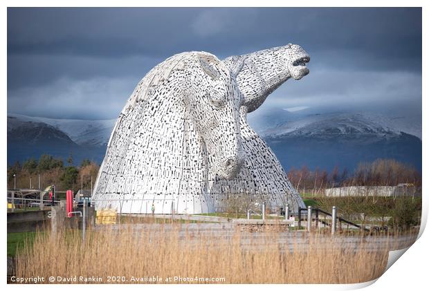 the Kelpies, the Helix, Falkirk, Scotland  Print by Photogold Prints