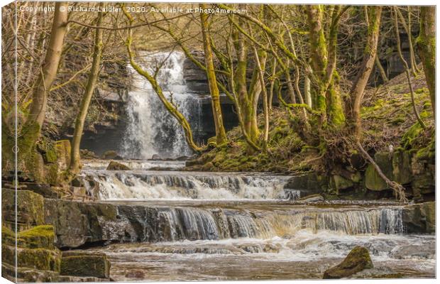 Summerhill Force and Bow Lee Beck, Teesdale Canvas Print by Richard Laidler