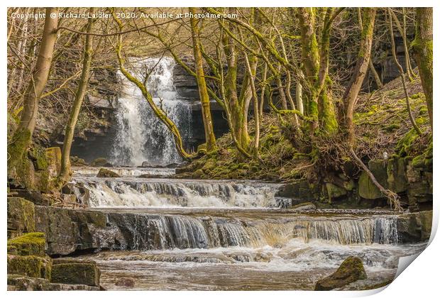 Summerhill Force and Bow Lee Beck, Teesdale Print by Richard Laidler