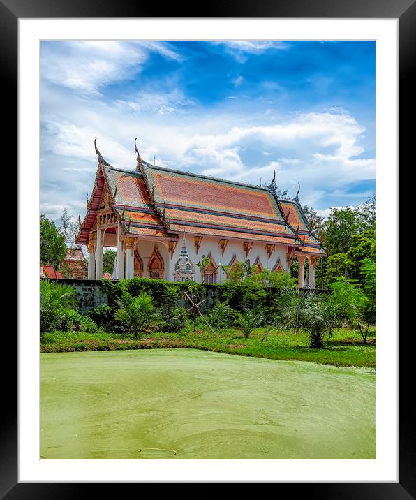 Thailand Hua Hin Chinese Temple and Green Swamp Framed Mounted Print by Antony McAulay