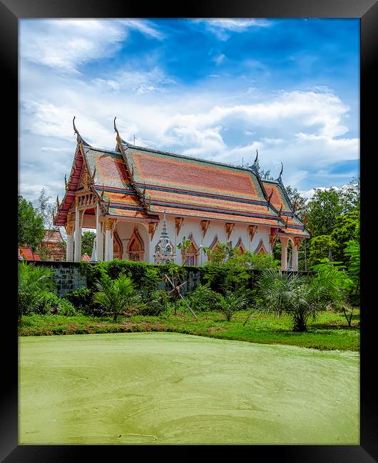 Thailand Hua Hin Chinese Temple and Green Swamp Framed Print by Antony McAulay