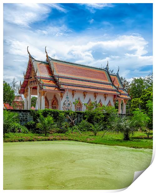 Thailand Hua Hin Chinese Temple and Green Swamp Print by Antony McAulay