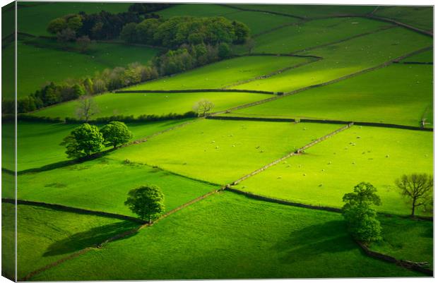 Green fields at Hayfield, Derbyshire Canvas Print by Andrew Kearton