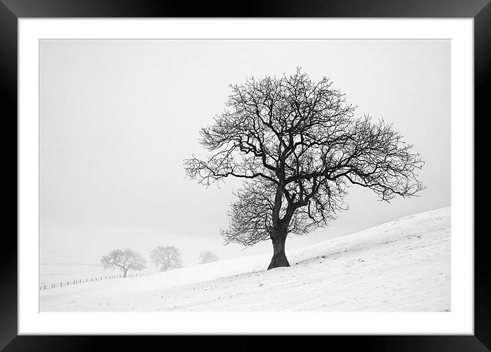 Winter Scene Framed Mounted Print by Martin Williams