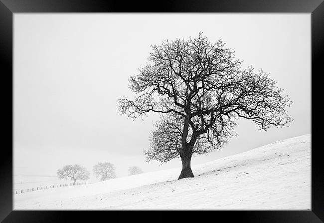 Winter Scene Framed Print by Martin Williams