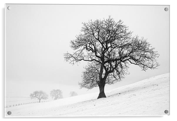 Winter Scene Acrylic by Martin Williams