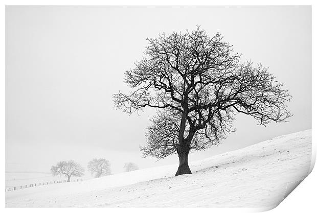 Winter Scene Print by Martin Williams