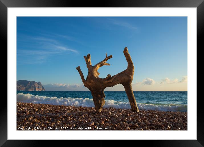 A dry tree on the beach looks like a dancing deer. Framed Mounted Print by Mariya Obidina