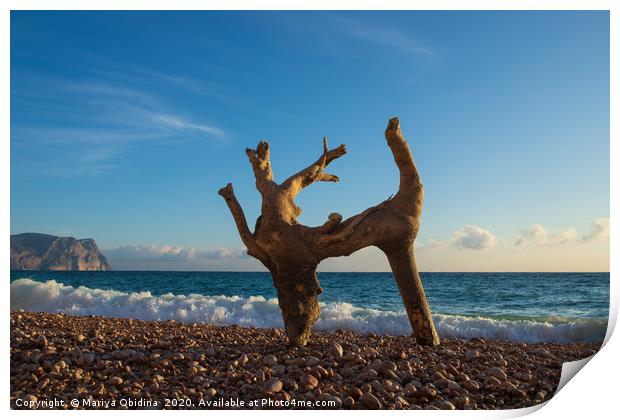 A dry tree on the beach looks like a dancing deer. Print by Mariya Obidina