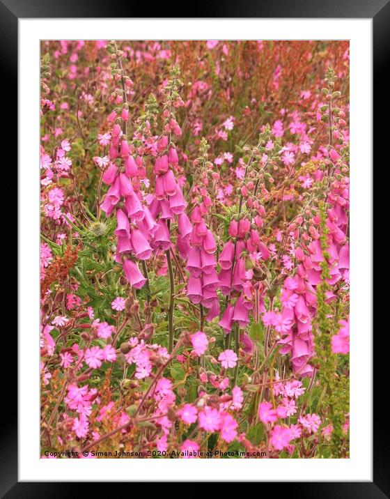 A foxglove collection Framed Mounted Print by Simon Johnson