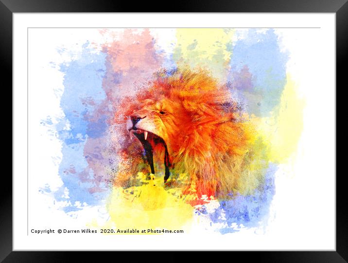 African Lion Pop Art Framed Mounted Print by Darren Wilkes