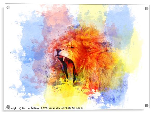 African Lion Pop Art Acrylic by Darren Wilkes