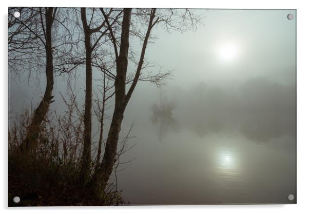 Misty autumn morning by the lake Acrylic by Andrew Kearton