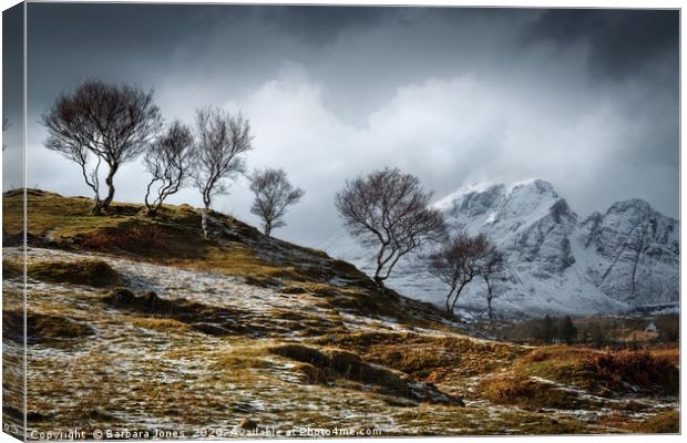 Isle of Skye Blaven and Birch Trees Scotland Canvas Print by Barbara Jones