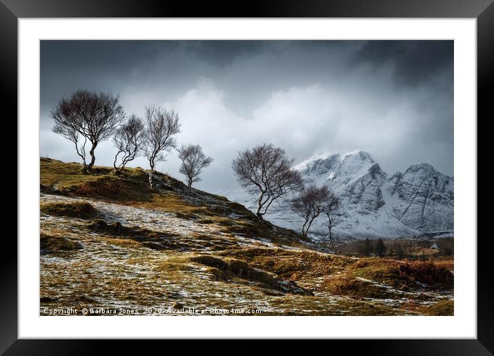 Isle of Skye Blaven and Birch Trees Scotland Framed Mounted Print by Barbara Jones