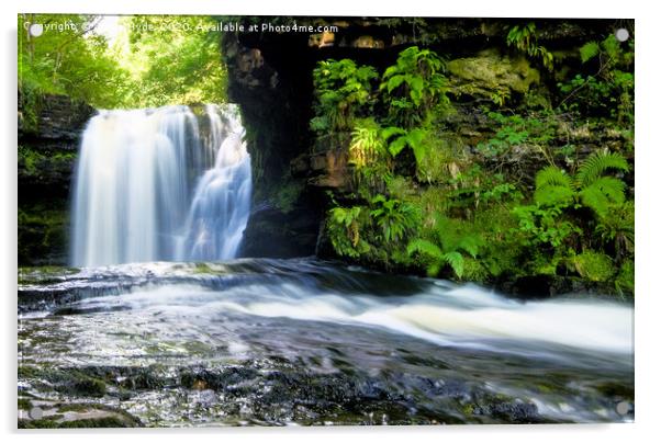 Sgwd Ddwli Isaf or Lower Gushing Falls, Wales Acrylic by Steve Hyde