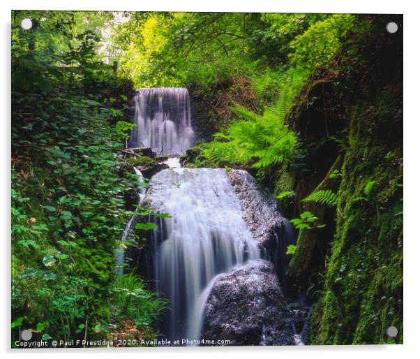 Waterfall near Chudleigh, Devon Acrylic by Paul F Prestidge
