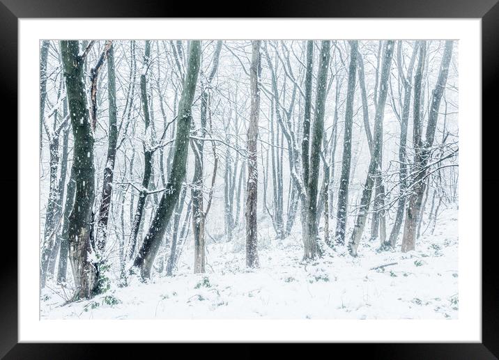 In the snowy woods Framed Mounted Print by Andrew Kearton