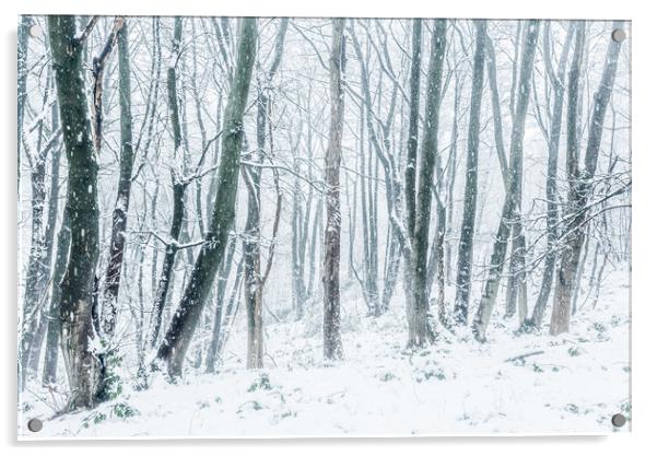 In the snowy woods Acrylic by Andrew Kearton