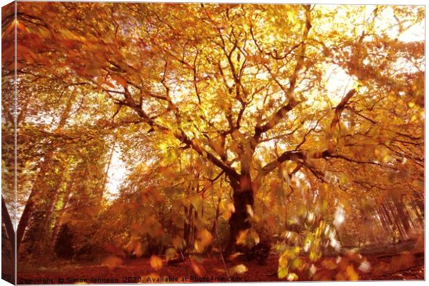 Autumn woodland, wind and sun Canvas Print by Simon Johnson