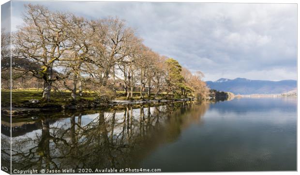 Tree lined shores of Derwent Water Canvas Print by Jason Wells