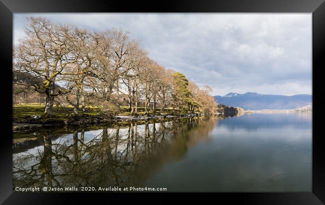 Tree lined shores of Derwent Water Framed Print by Jason Wells