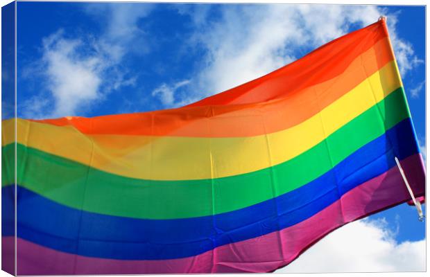 Rainbow flag (LGBT movement) on the sky background Canvas Print by M. J. Photography