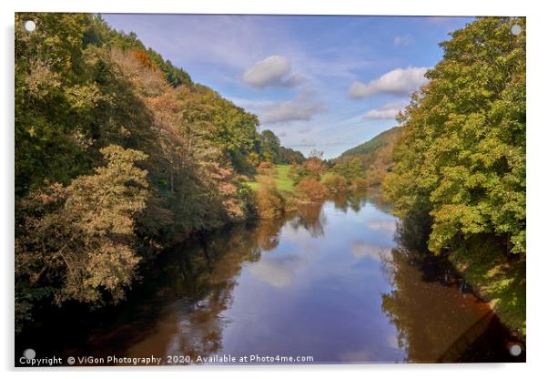 Autumn on the River Wye Acrylic by Gordon Maclaren