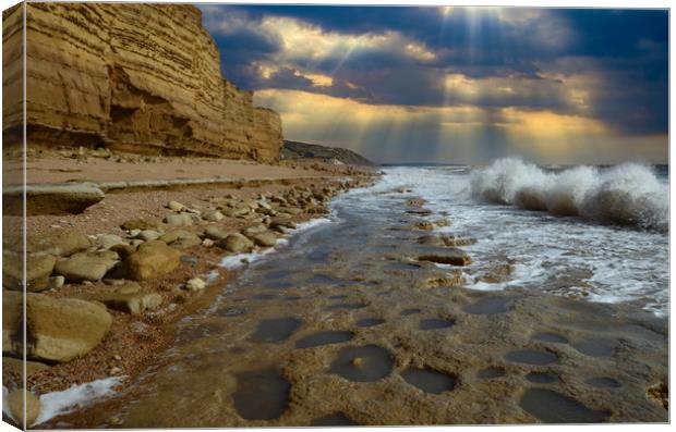 Rock Ledges of Hive Beach Canvas Print by David Neighbour