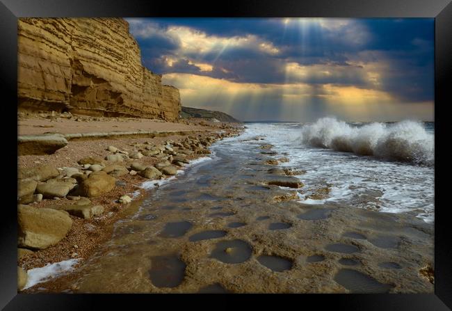 Rock Ledges of Hive Beach Framed Print by David Neighbour