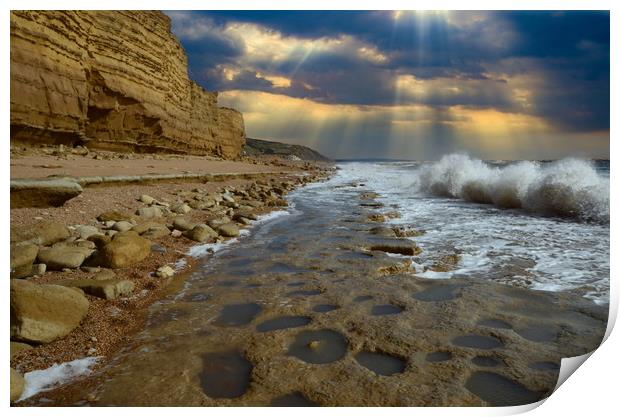 Rock Ledges of Hive Beach Print by David Neighbour