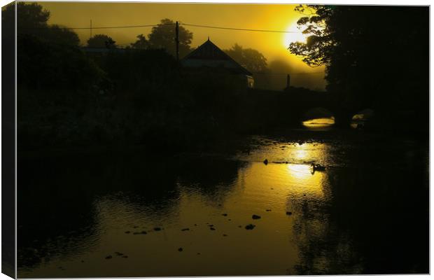 Sunrise on the  River at Newmills  Launceston Canvas Print by Dave Bell