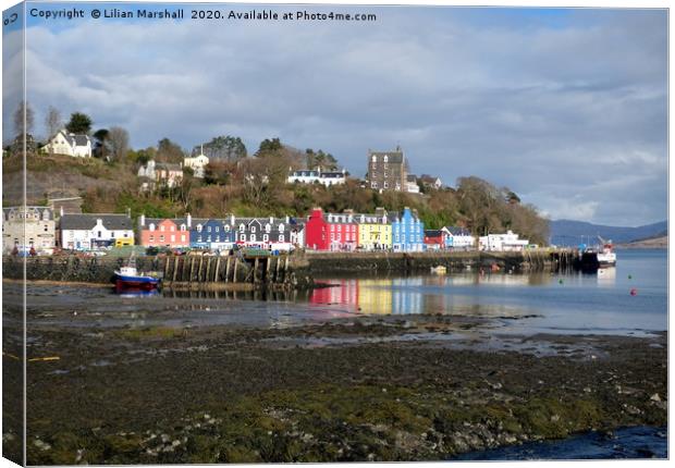 Colourful cottages of Tobermoray. Canvas Print by Lilian Marshall