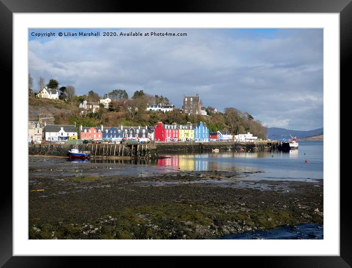 Colourful cottages of Tobermoray. Framed Mounted Print by Lilian Marshall