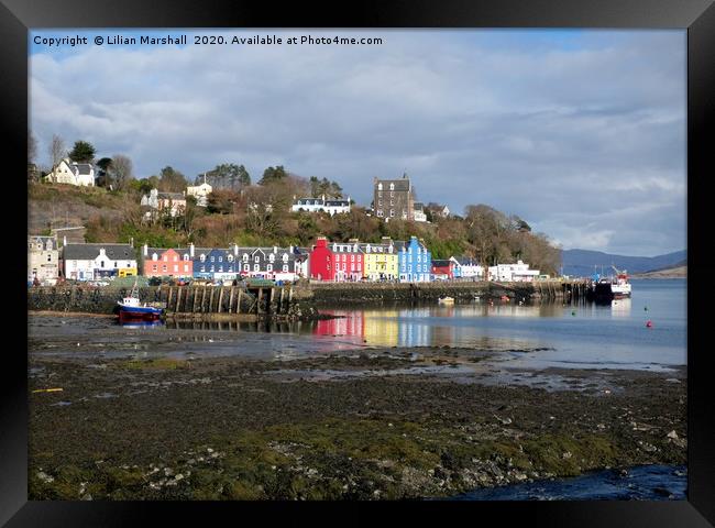 Colourful cottages of Tobermoray. Framed Print by Lilian Marshall