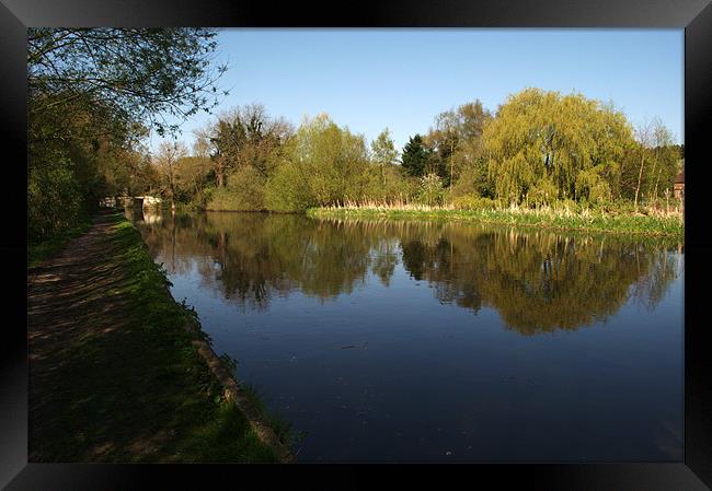 Reflective Mood Framed Print by Chris Day