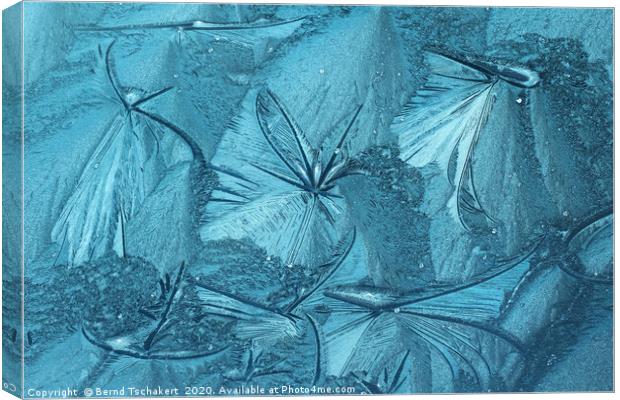 Frost pattern of ice flowers on window Canvas Print by Bernd Tschakert