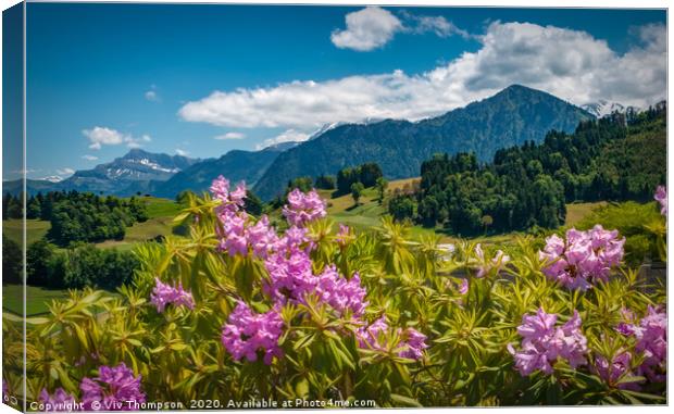 Rhododendrons in The Alps Canvas Print by Viv Thompson
