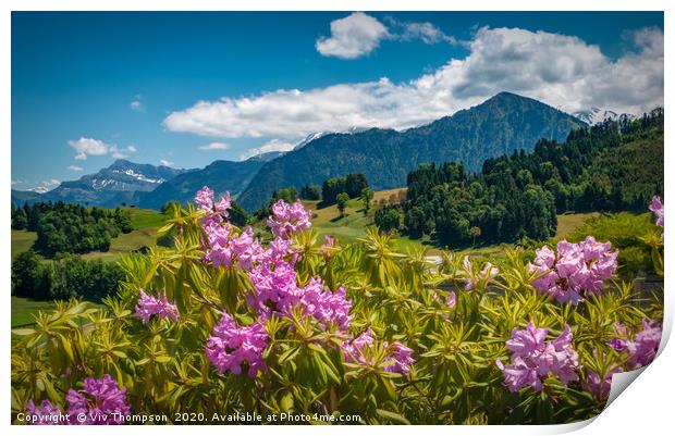 Rhododendrons in The Alps Print by Viv Thompson