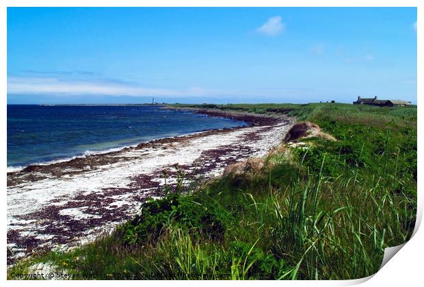 Scuthvie Bay Print by Steven Watson