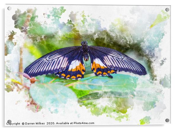 Resting Butterfly watercolour Acrylic by Darren Wilkes