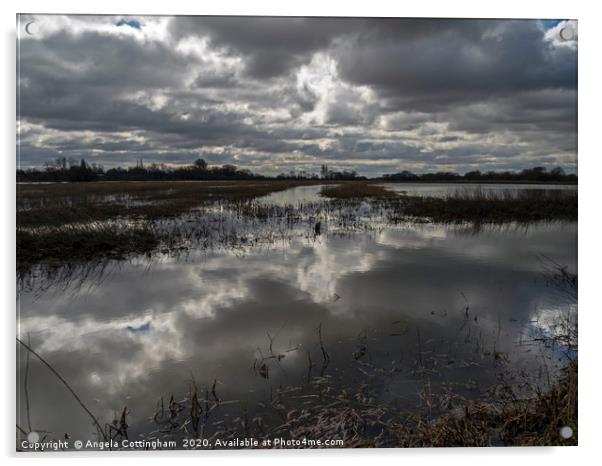 Wetlands at Wheldrake Acrylic by Angela Cottingham