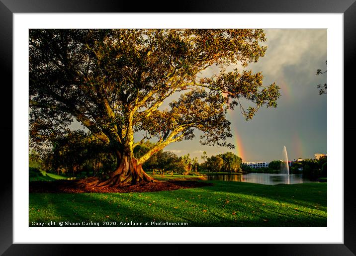 After The Storm Framed Mounted Print by Shaun Carling