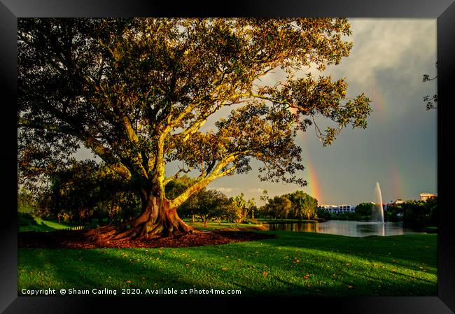 After The Storm Framed Print by Shaun Carling