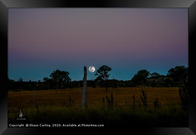 Moonrise Out At Boonah Framed Print by Shaun Carling