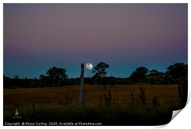 Moonrise Out At Boonah Print by Shaun Carling